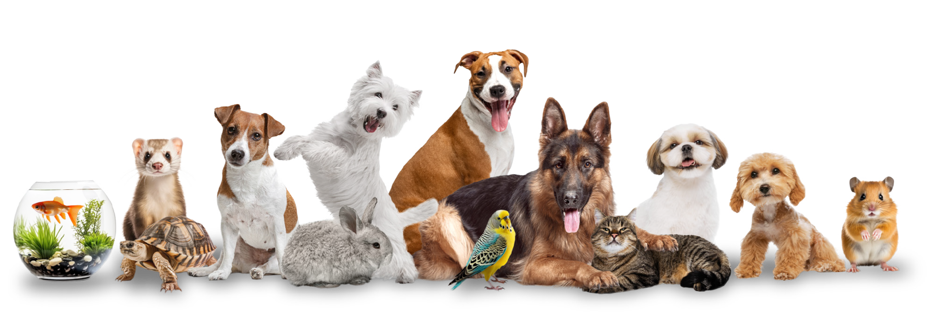 4 panel img Pets Group new