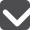 Check Mark